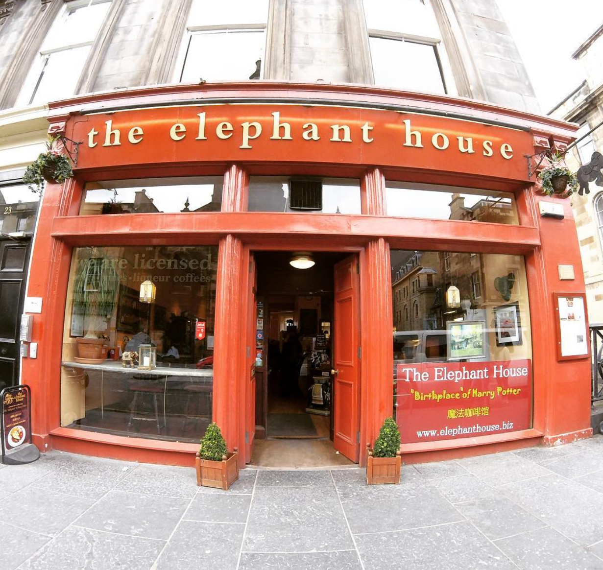 The Elephant house